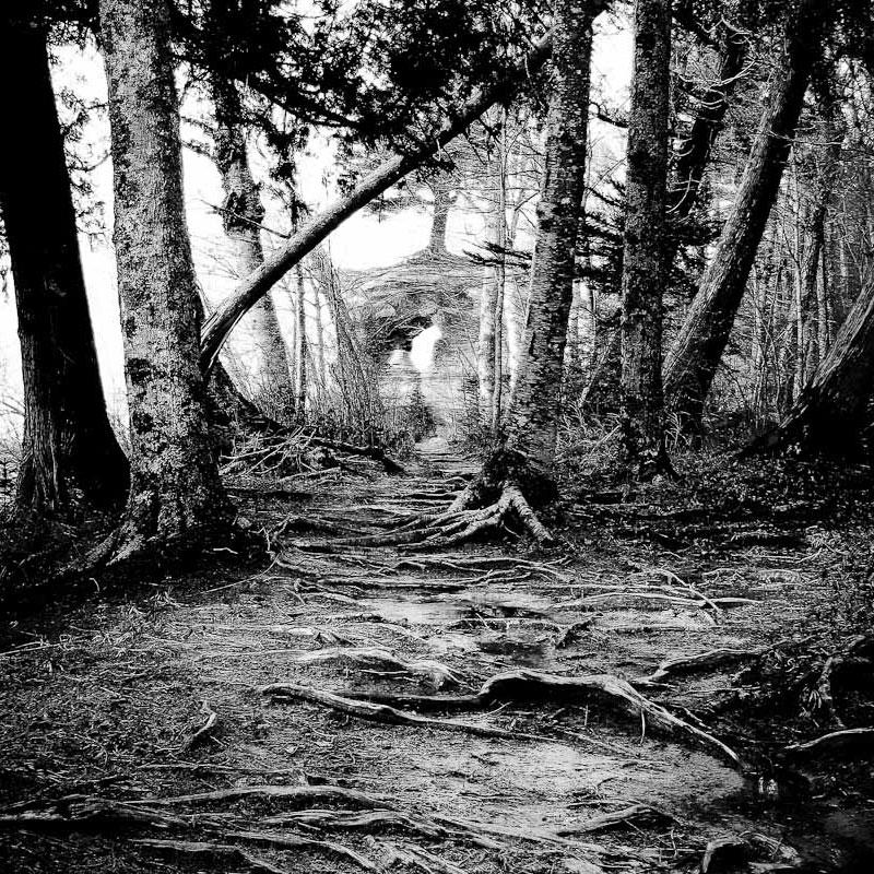 Pictured Rocks Usa 05