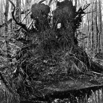 Pictured Rocks Usa 06